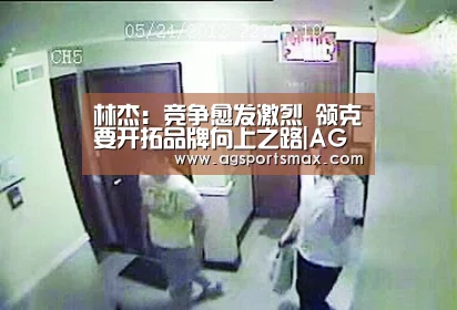 林杰:竞争愈发激烈 领克要开拓品牌向上之路|AG首页(图3) AG首页