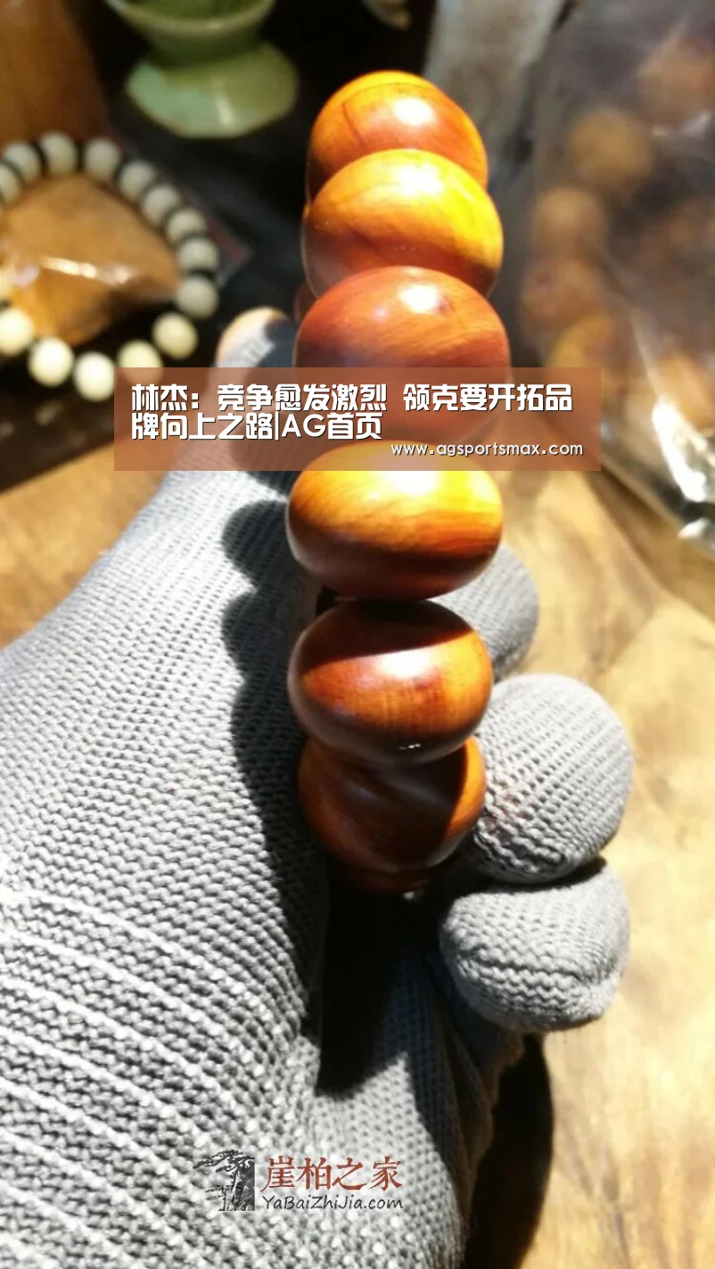 林杰:竞争愈发激烈 领克要开拓品牌向上之路|AG首页(图1) 林杰:竞争愈发激烈 领克要开拓品牌向上之路|AG首页(图1)