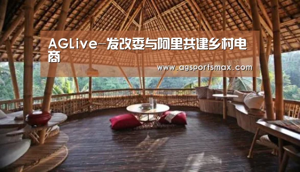 AGLive-发改委与阿里共建乡村电商(图1) AGLive-发改委与阿里共建乡村电商(图1)